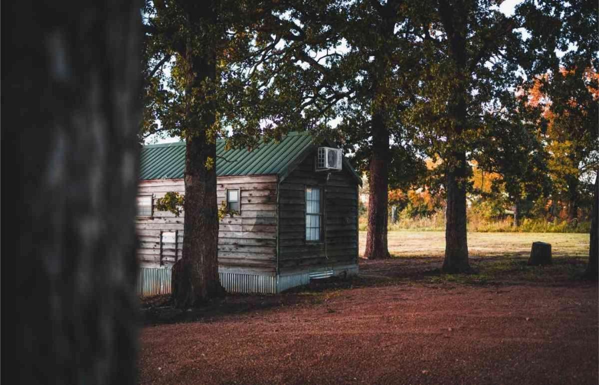Lakefront Cedar Cabin - 6 Mead Εξωτερικό φωτογραφία